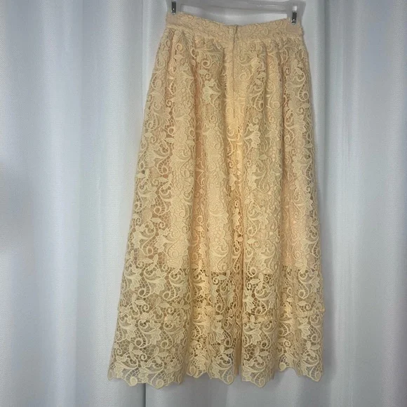 H&M Lace Midi skirt - Picture 11 of 12